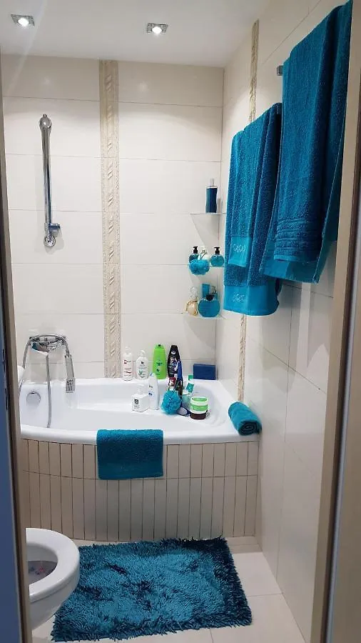 Apartament Przytulne mieszkanie w Krakowie